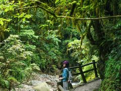 -西岭雪山大飞水景区