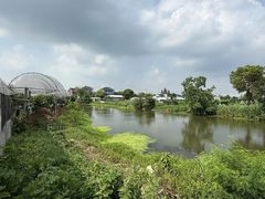 -马陆小张葡萄园农家乐