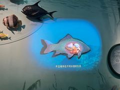 -中国湿地博物馆