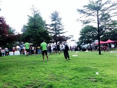 -溪口商量岗景区