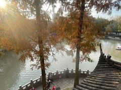 -汇龙潭