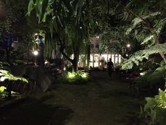 -Fern Forest Cafe