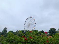 -观澜湖生态运动公社
