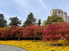 -上海市龙华烈士陵园