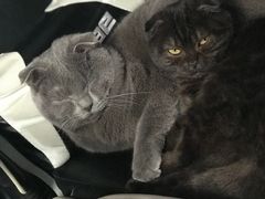 -北京雄鹿运动中心