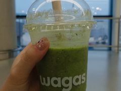 -Wagas沃歌斯(浦东机场店)