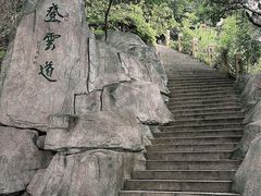 -深圳仙湖植物园