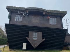 -金山农民画村-枫泾波兰倒置屋