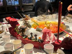 -小龙翻大江文化火锅(宽窄店)