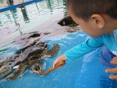 -北戴河圣蓝海洋公园