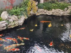 -鲤院·新中式美学·庭院餐厅(夫子庙店)