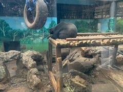 -昆明动物园