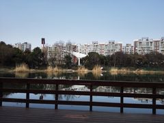 -新江湾城公园