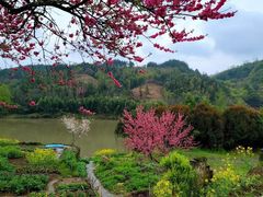 -新安江山水画廊风景区