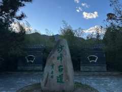 -阳台山自然风景区