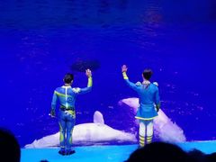 -芜湖新华联大白鲸海洋公园