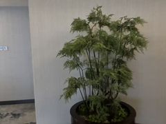 -浅深(世茂滨江精品店)