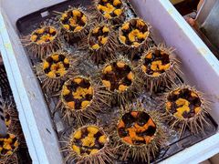 -恒达综合农贸市场(黄山路店)