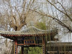 -桃花堤公园