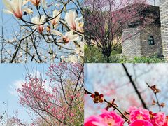 -广富林郊野公园