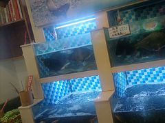 -野渡坡·极致湘菜·庭院餐厅(汉阳店)