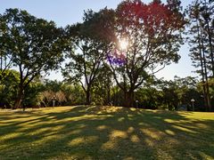 -人民公园(罗湖区)