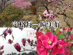 -石老人观光园