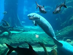 -广东省拱北口岸中国旅行社(华宾营业部)