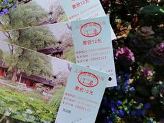 -上海醉白池公园
