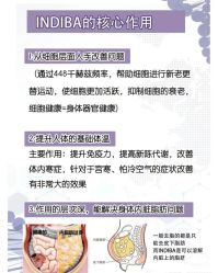 -Fundi张玉珊修身堂·indiba·BTL科技瘦身