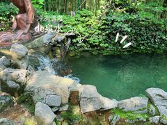 -四门塔风景区