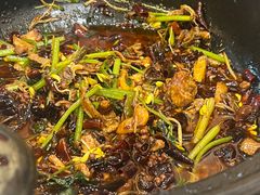 茶树菇香辣鸡煲-清真重庆巴爷香辣鸡煲(南小巷店)