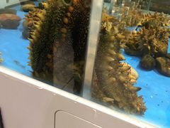 -永辉超市(鲁谷店)