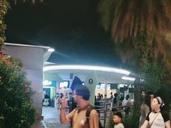 -圣淘沙天际线斜坡滑车