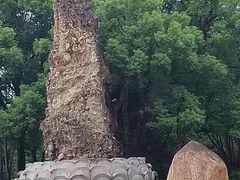 -永安龟山公园