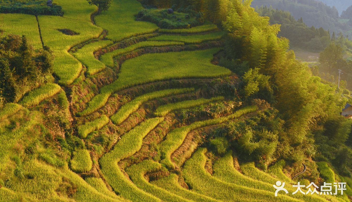 国庆假期云和梯田详细🔎攻略，附避开人流秘决🌄