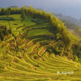 国庆假期云和梯田详细🔎攻略，附避开人流秘决🌄