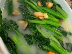 菜心-海晖酒楼·顺德鱼生(荣华店)