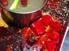 鲜鸭血-凤来栖·净庭院·火锅(欧尚店)