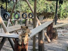 -广州长隆野生动物世界