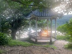 -广东中医药博物馆