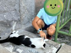 -须弥福寿之庙