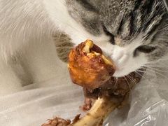 -新鞑烤羊腿(康平路店)