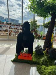 -IMON·HANSA潮玩玩偶毛绒玩具(通州万象汇店)