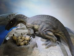 -国家自然博物馆