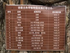 -呀路古热带植物园
