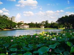 -荔湾湖公园