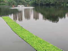 -重庆彩云湖湿地公园
