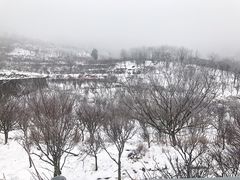-四明山国家森林公园