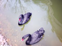 iphone_upload_pic-西安曲江寒窑遗址公园